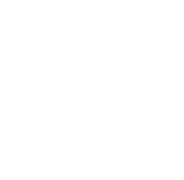 Institute of Entrepreneurship Development