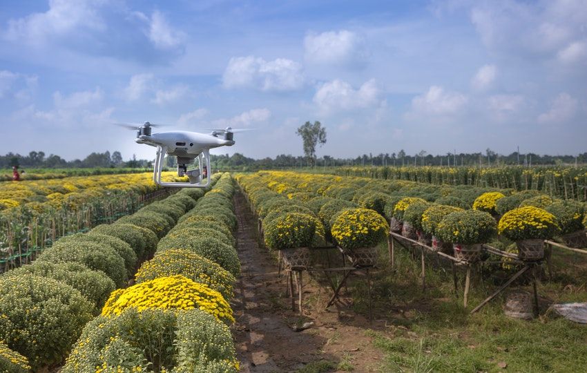 Introducing Technological Innovations in the Agricultural Sector