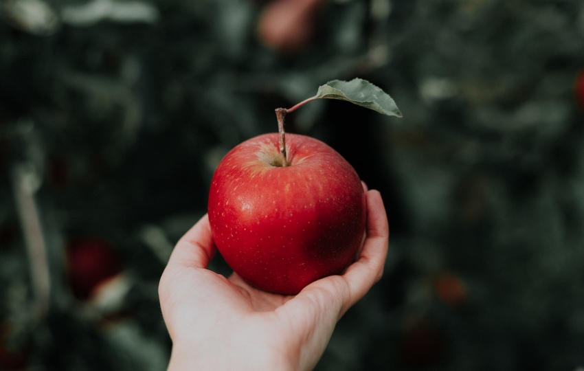 5 REASONS WHY TO CHOOSE ORGANIC APPLES