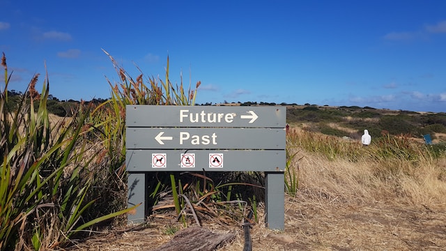 A sign in the middle of nowhere showing showing a direction to the future to the right side and a direction to the past from the left side. 