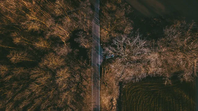 An aerial shot from a drone of a barren land with a road and trees without leaves. 
